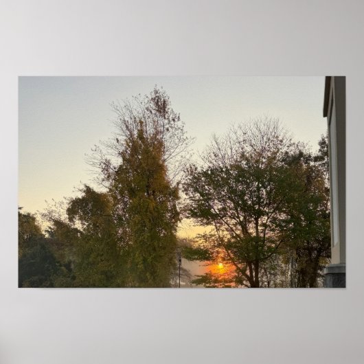 Poster du coucher de soleil avec arbres (Devant)