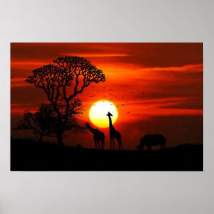 Poster du coucher de soleil de Giraffe et de Rhino