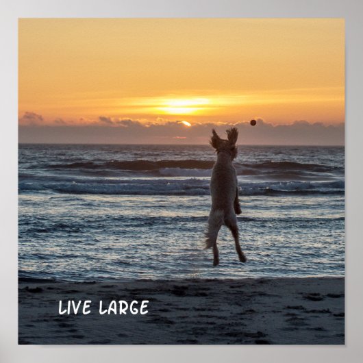 Poster du coucher de soleil de plage "Live Large" (Devant)