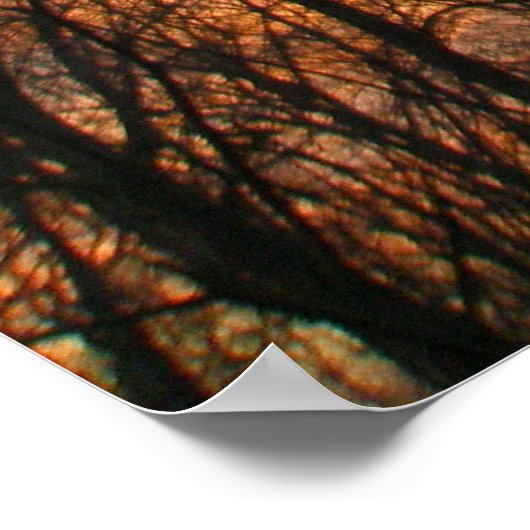 Poster du coucher de soleil d'hiver (Coin)