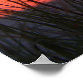 Poster du coucher du soleil (Coin)