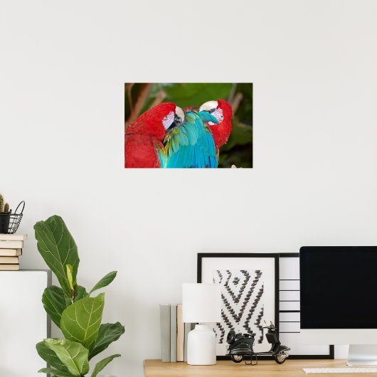 Poster du couple de perroquets Macaw (Bureau à domicile)