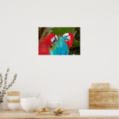 Poster du couple de perroquets Macaw (Cuisine)
