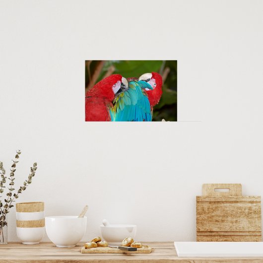 Poster du couple de perroquets Macaw (Cuisine)