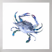 Poster du crabe bleu aquarelle (Devant)