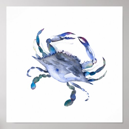 Poster du crabe bleu aquarelle (Devant)