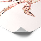 Poster du crabe ~ Crabe vert (Coin)
