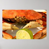 Poster du crabe de Dungeness