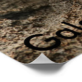 Poster du crabe de Sally Lightfoot (Coin)