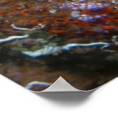 Poster du crabe Puget Sound King (Coin)