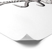 Poster du crâne animal vintage (Coin)