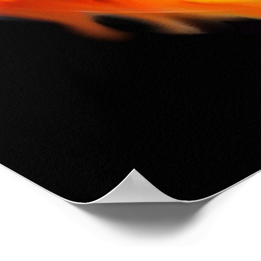 Poster du crâne en barbier (Coin)