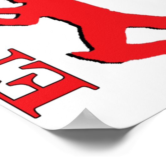 Poster du cricket Angleterre (Coin)