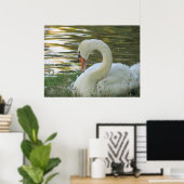 Poster du cygne assis (Bureau à domicile)