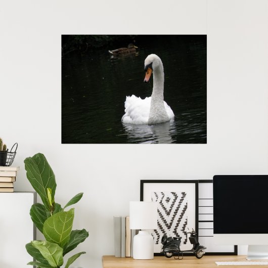 Poster du cygne blanc (Bureau à domicile)