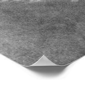 Poster du cygne mourant de Ballerina (Coin)