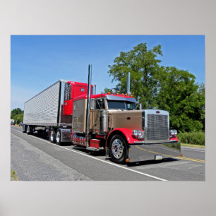 Poster du D Zimmerman 379