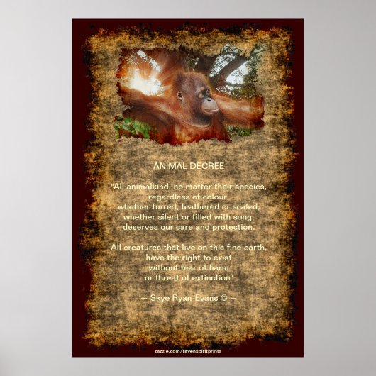 Poster du décret sur les animaux de l'Orangutan en (Devant)