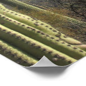 Poster du désert de Tucson (Coin)