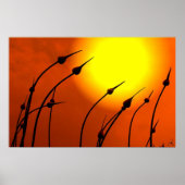 Poster du design de la nature (Devant)