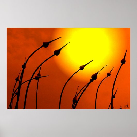 Poster du design de la nature (Devant)