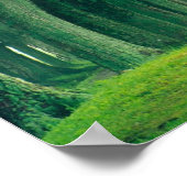 Poster du Devenez écolo (Coin)