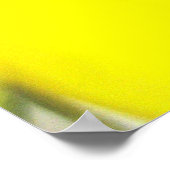 Poster du diagramme alphabétique du tournesol (Coin)