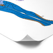 Poster du diagramme Dermatome (Coin)