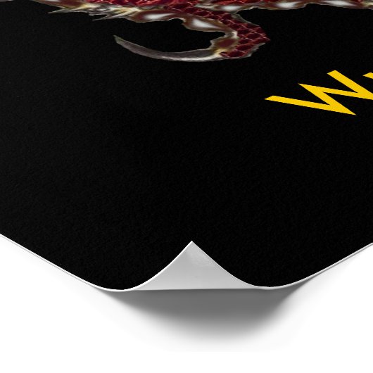 Poster du dragon de Wudang - Customisé (Coin)