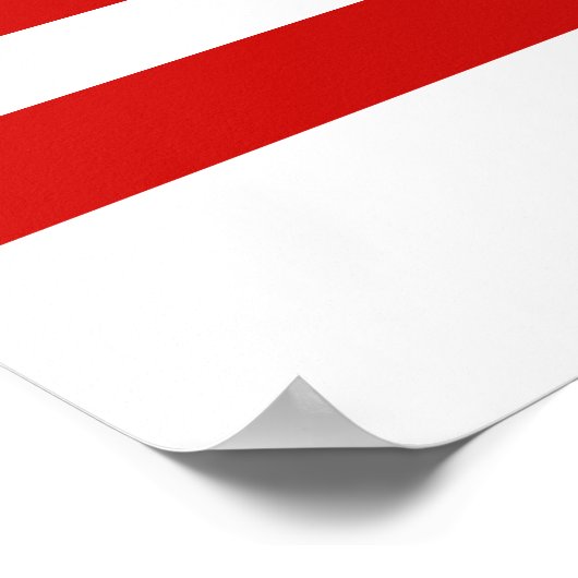 Poster du drapeau américain (Coin)