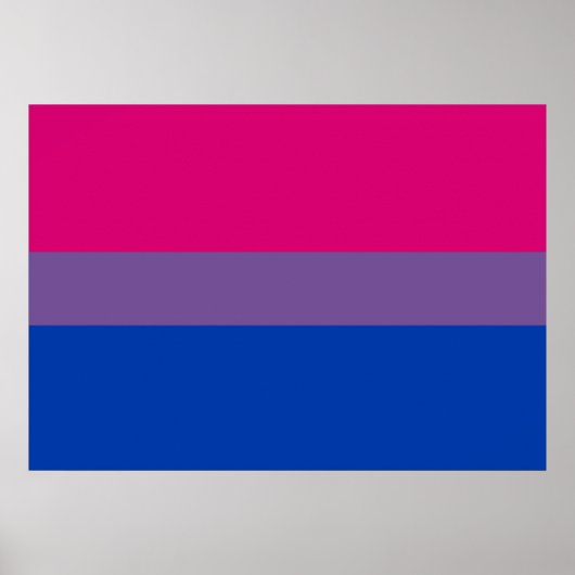 Poster du drapeau de la fierté bisexuelle (Devant)