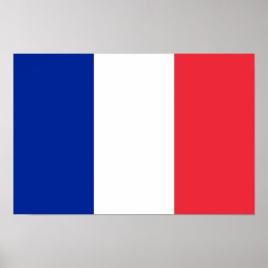 Poster du drapeau de la France (Devant)