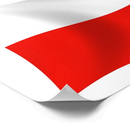 Poster du drapeau de la Pologne (Coin)