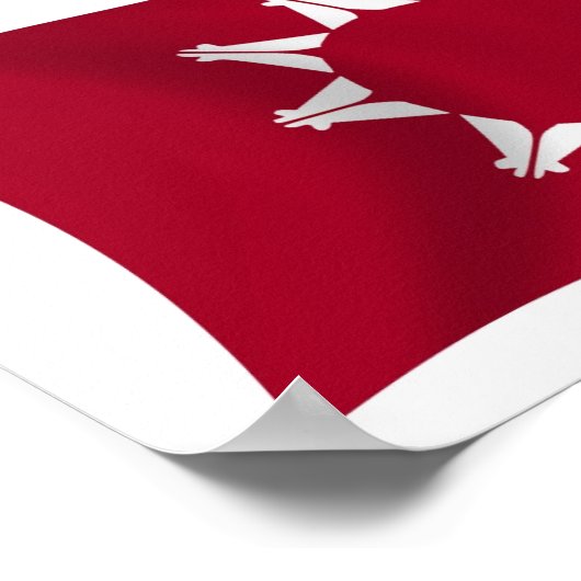 Poster du drapeau Oglala Lakota (Coin)