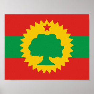 Poster du drapeau oromo