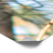 Poster du faucon à épaulettes (Coin)