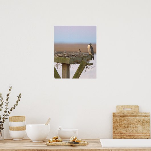 Poster du faucon pèlerin (Cuisine)