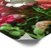 Poster du Festival Snapdragon (Coin)