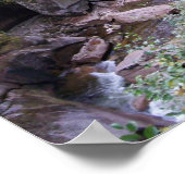 Poster du feuillage d'automne du pont Sentinel (Coin)