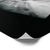 Poster du film Chiropractor (Coin)