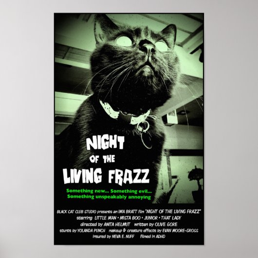 Poster du film d'horreur de chat Zombie, Vert, tai (Devant)
