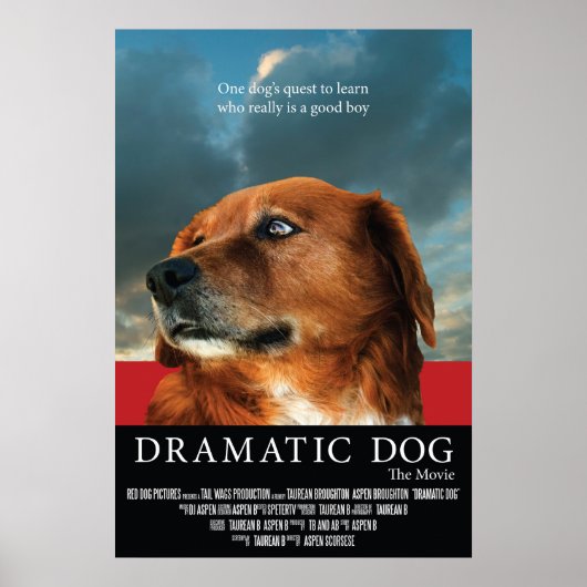 Poster du film "Dramatic Dog" Faux (Devant)