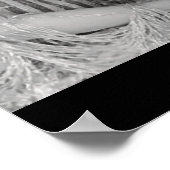 Poster du film Rose de Broadway (Coin)