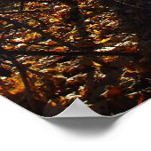 Poster du filtre forestier (Coin)