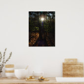 Poster du filtre forestier (Cuisine)