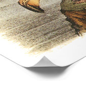 Poster du Flamant rose Audubon (Coin)