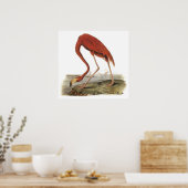 Poster du Flamant rose Audubon (Cuisine)