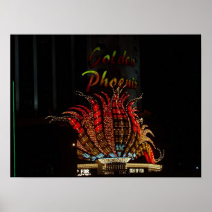 Poster du Flamant rose Reno Nevada