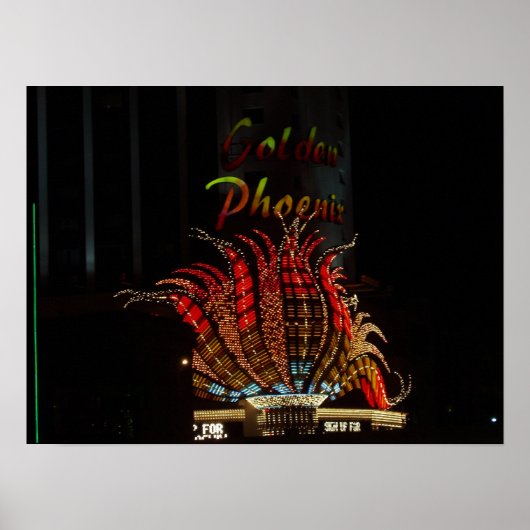 Poster du Flamant rose Reno Nevada (Devant)