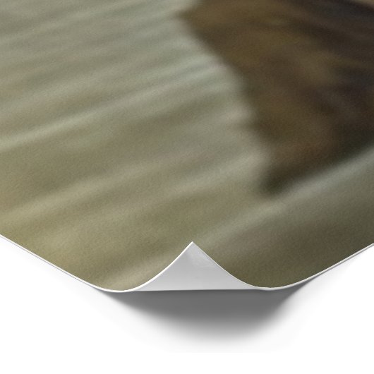 Poster du Flamant rose rouge d'Audubon (Coin)